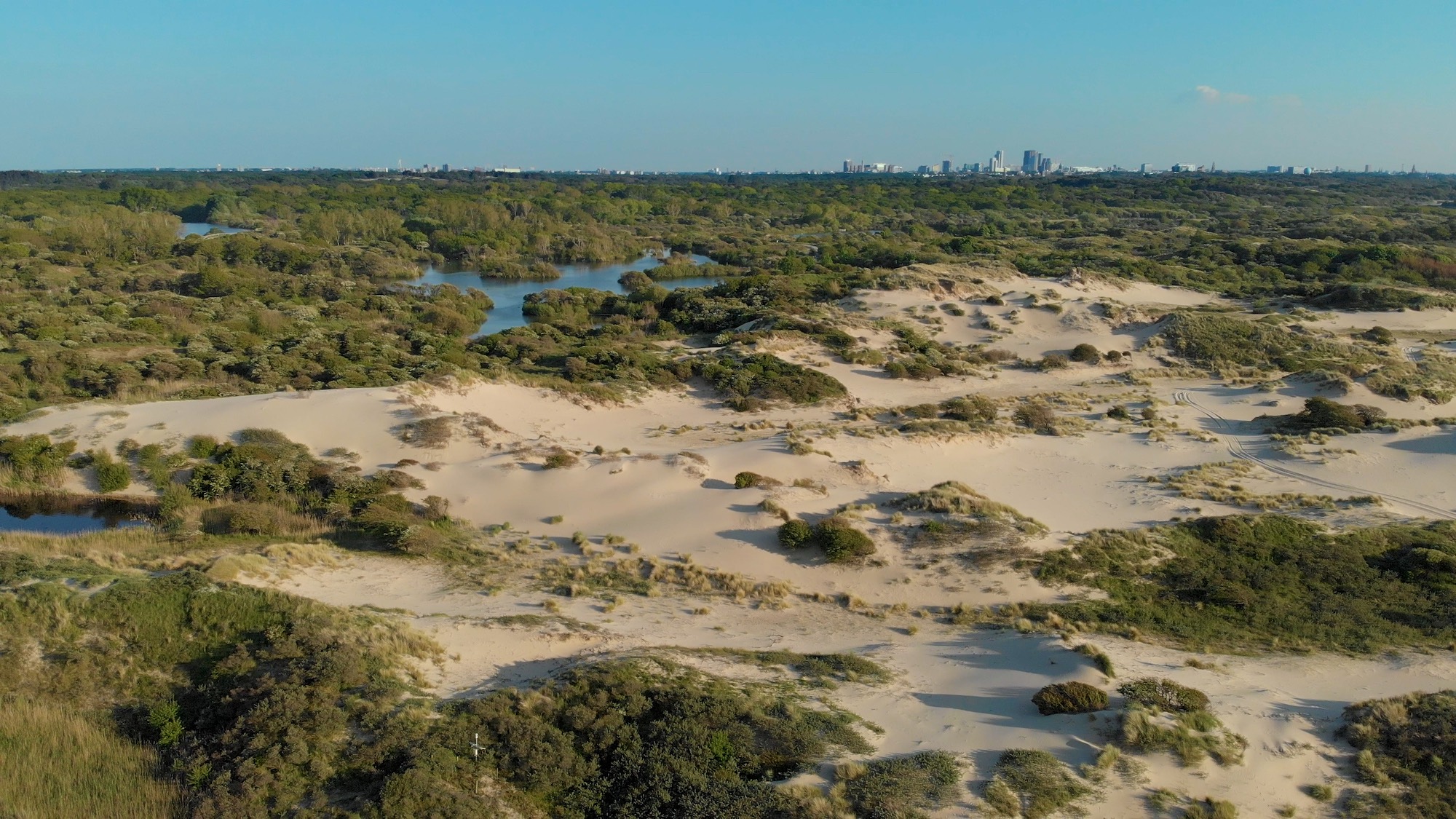 WILD DUNES The Hague Michael Sanderson Ana Luisa Santos Ateles Films