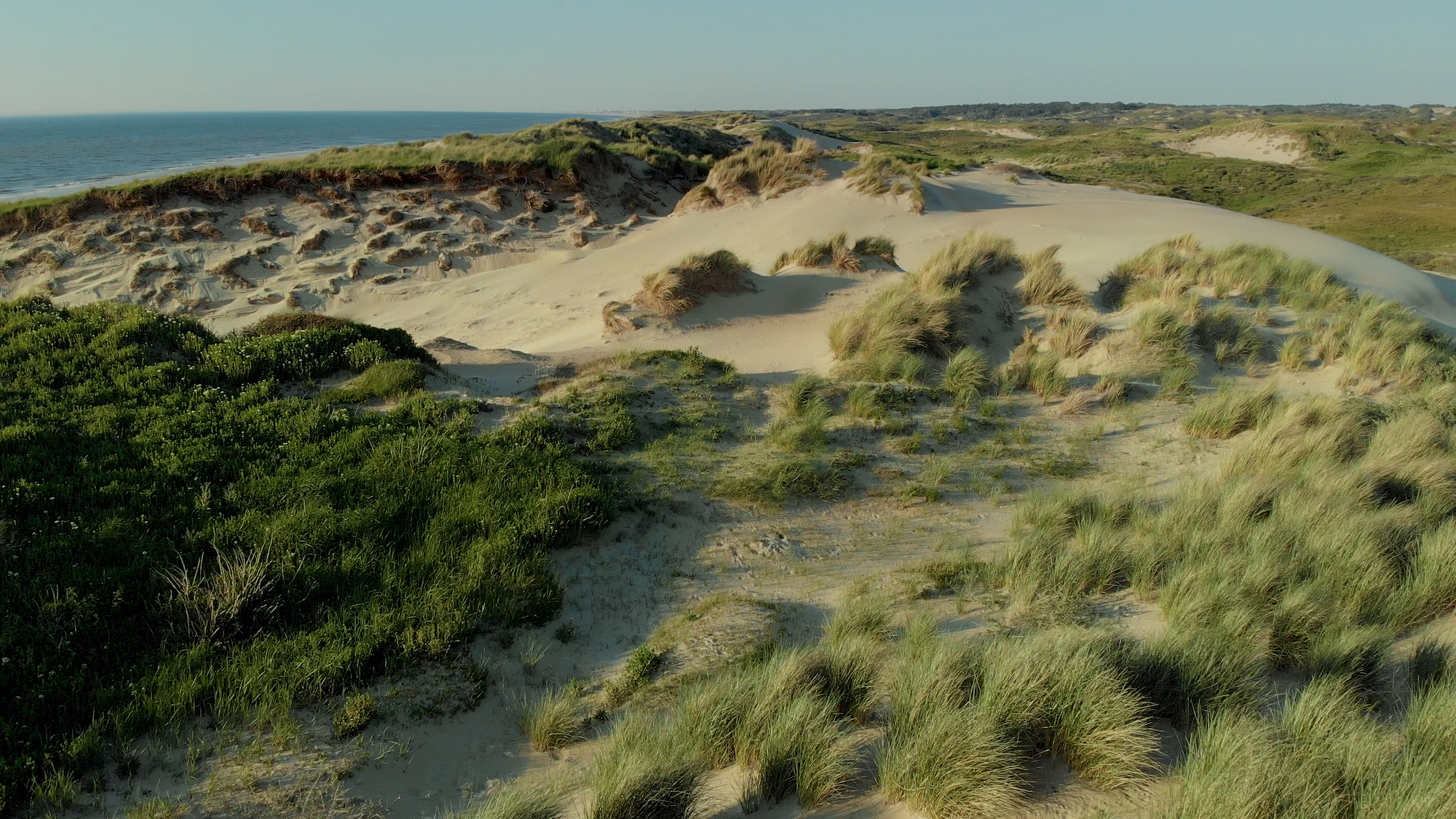 002-WILDDUNES-Dunes-and-North-Sea-lowres